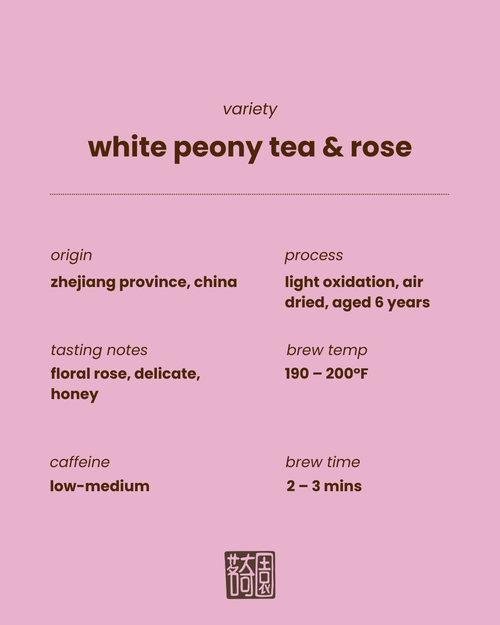 Rose White